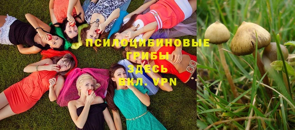прущие крисы Абаза