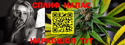 СК Надым