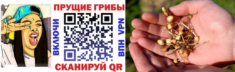 Псилоцибиновые грибы прущие грибы  магазин    blacksprut ТОР  Серпухов 