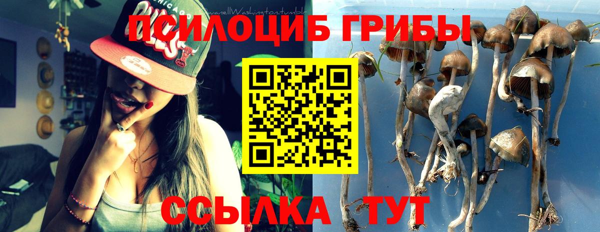 Серпухов  Галлюциногенные грибы мухоморы  Вход с VPN 